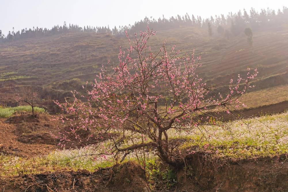 Viaggio in Vietnam a marzo: Meteo e itinerari consigliati