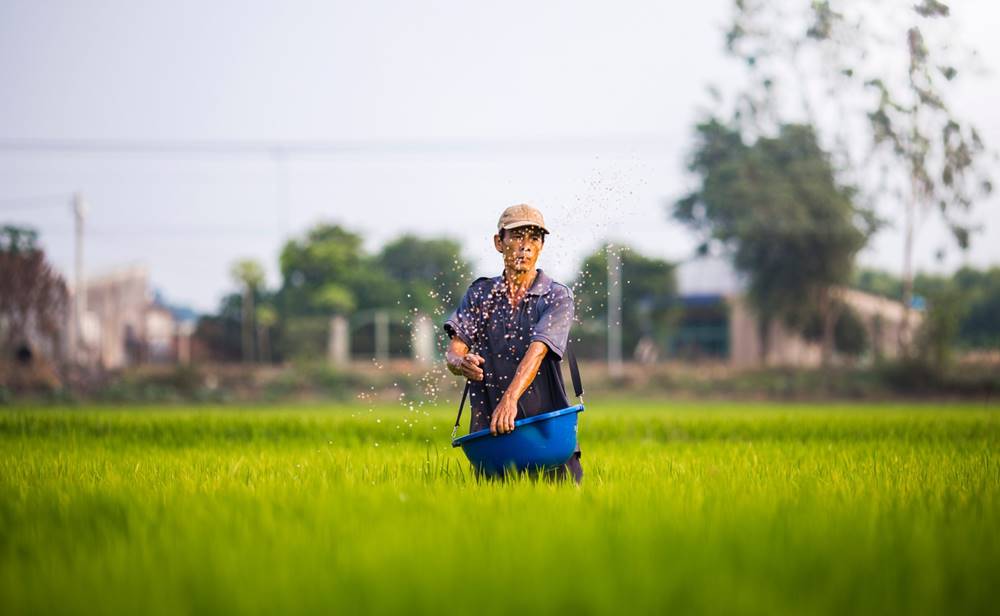 Vietnam Ottobre