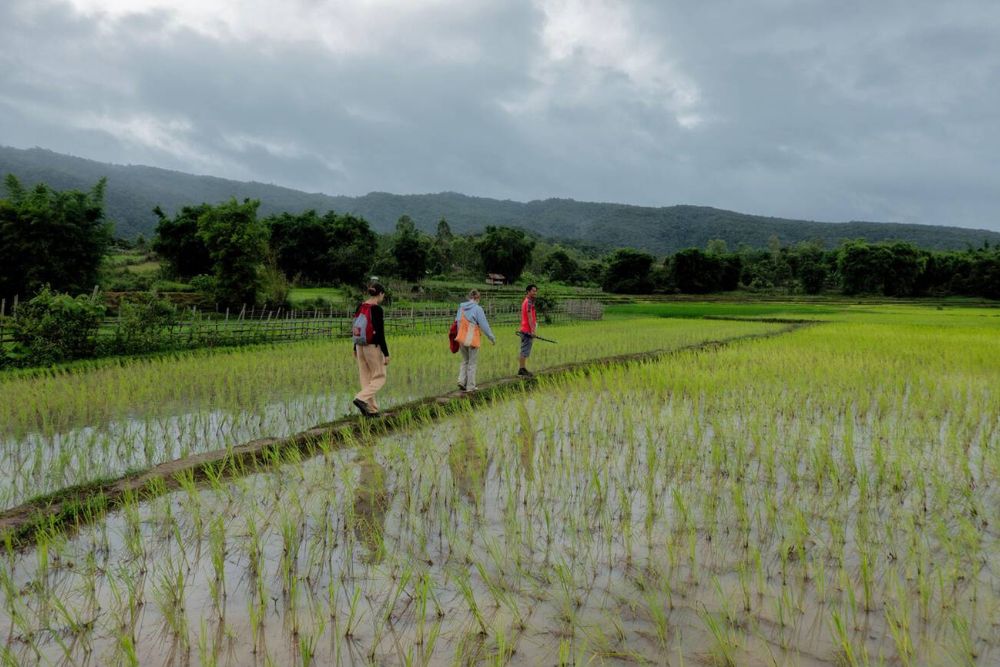 campi riso Xieng Khouang